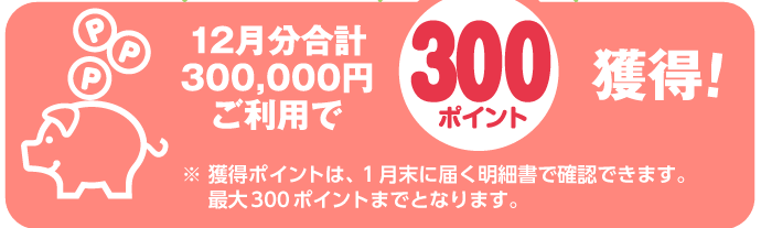 12月分合計300,000円ご利用で300ポイント獲得！