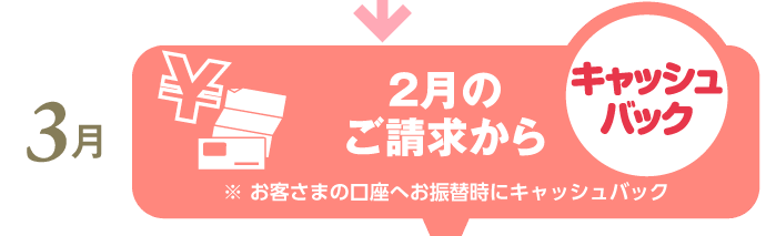 2月のご請求からキャッシュバック