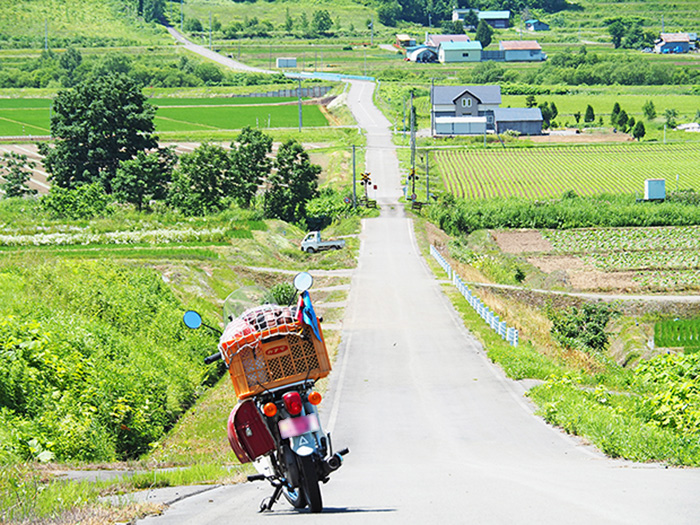 初めての出会い、これが私の北海道