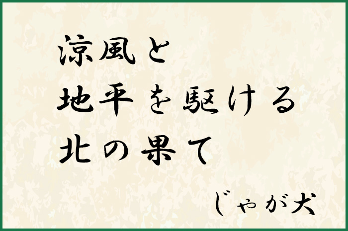 じゃが犬